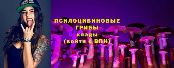 шишки Пестово