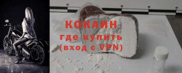 шишки Пестово