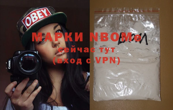 шишки Пестово