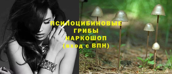 трава Абдулино